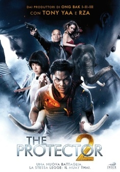The protector 2 (2013)