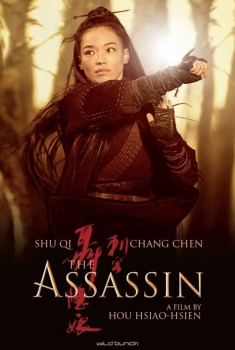 The Assassin (2015)