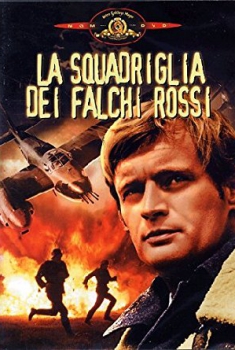 La squadriglia dei falchi rossi (1969)